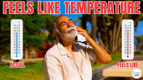 what is the feel like temperature today.